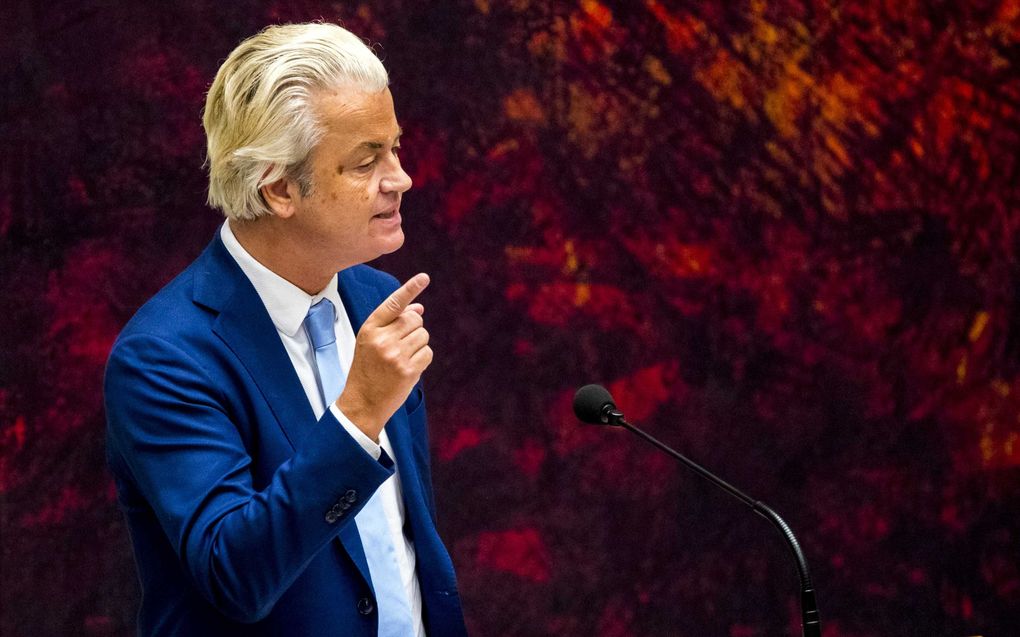 Wilders. beeld ANP