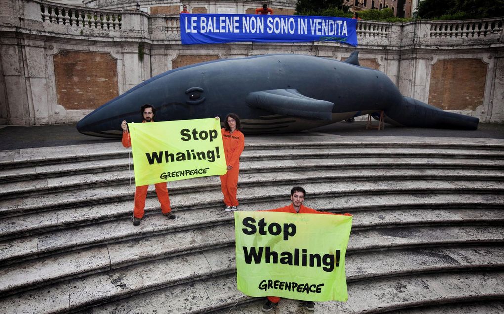 Greenpeace-activisten demonstreren tegen walvisvangst in Rome. Foto EPA