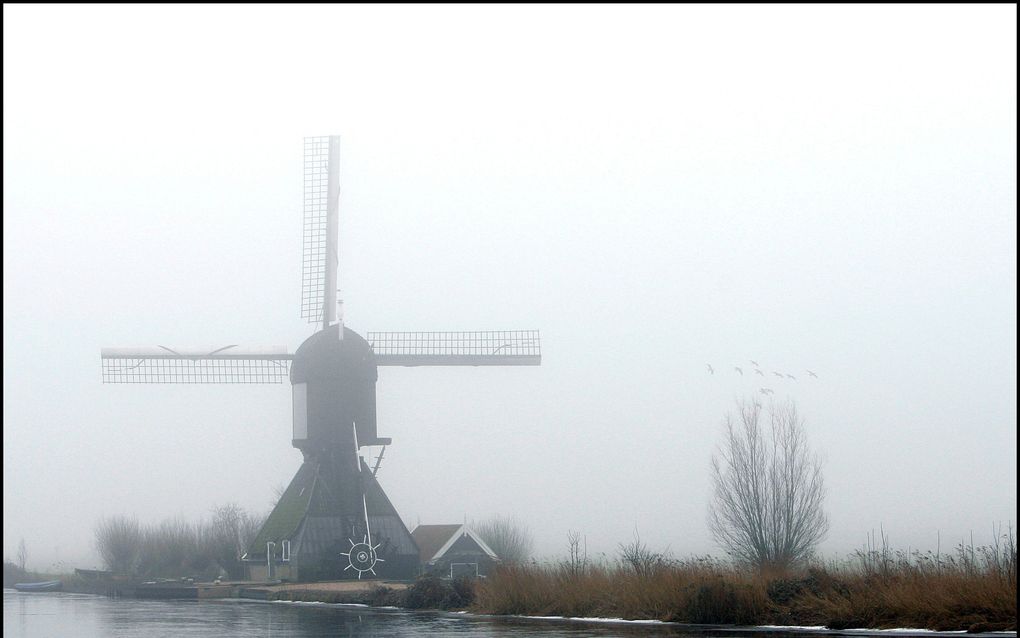 Ruzie over polder bijgelegd. Foto ANP