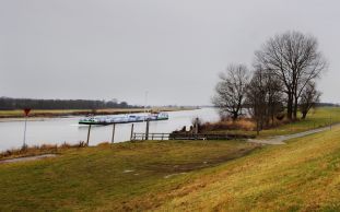 KAMPEN â€“ De dijken langs de rivieren in Overijssel zijn op sommige plekken zwak. Ze hebben te lijden gehad onder jarenlang intensief agrarisch gebruik en door de wortels van zwakke bomen. Foto Dick Vos