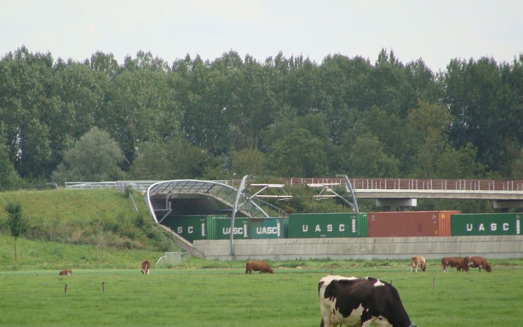 De treinen die over de Betuwelijn rijden, zorgen in Hardinxveld voor veel geluidsoverlast. Foto André Bijl