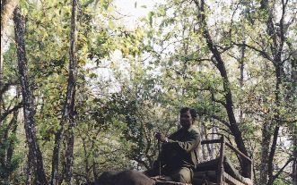 Nepal heeft meer te bieden dan bergen en tempels. Zo kunnen toeristen in de jungle van het Royal Chitwan National Park op een olifant rondtoeren. Foto’s RD