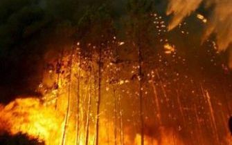 ABRANTES - Een helikopter helpt mee aan het blussen van de enorme bosbranden in Portugal. Portugal lijdt onder de ergste droogte in zestig jaar. Foto EPA