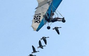 „Het lijkt mij het beste om de inspectie van de ultralight vliegtuigen te laten uitvoeren door een erkend vliegtuigonderhoudsbedrijf. Daar is de kennis in ruime mate aanwezig.” Foto EPA