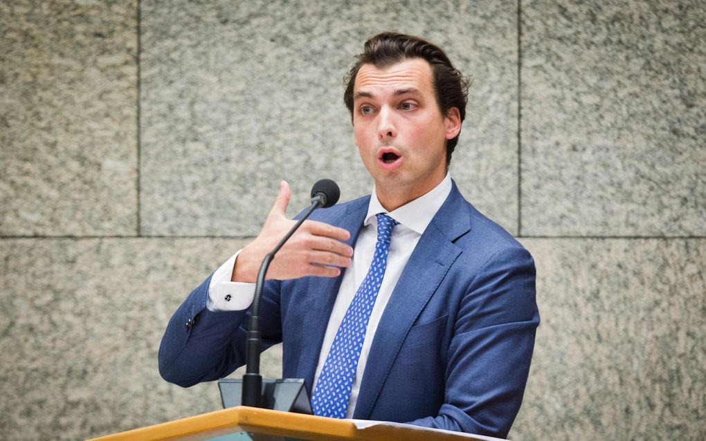 Baudet. beeld ANP