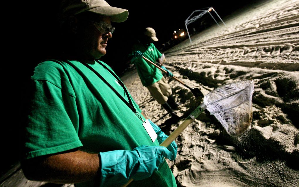 ALABAMA - Schoonmakers speuren naar olie op Orange Beach in de Amerikaanse staat Alabama. Foto EPA