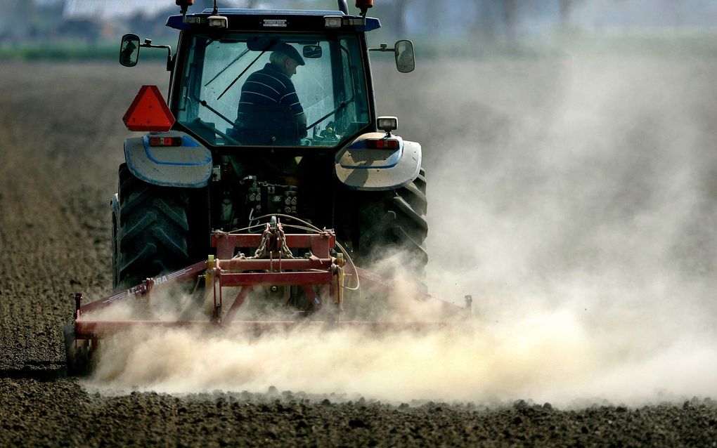 Dankzij de intensieve landbouw kan wereldwijd het areaal landbouwgrond beperkt blijven. Foto ANP