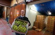 Agf-groothandel Postuma beschikt over zeven bananenrijpkamers. Eigenaar Paul Postuma bekijkt dagelijks zijn bananen. „De vruchten blijven een natuurproduct. De bananen zijn nooit hetzelfde. Dat maakt het leuk. Maar je moet er wel goed je hoofd bij gebruik