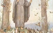 LEEUWARDEN - Franciscus van Assisi blijft voor altijd in de geschiedenisboeken genoteerd als de kleine, vrome zwerver die in zijn ruige, donkerbruine pij preekte voor duiven, raven en mussen. Â¶ Â¶ fotoverantwoording: Foto