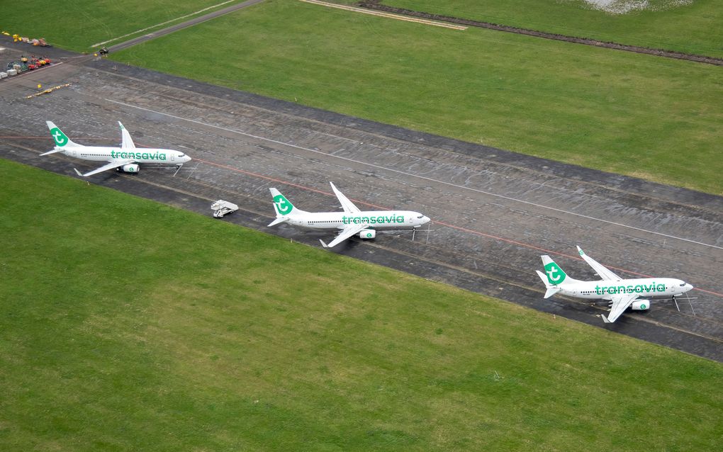 Vliegtuigen van Transavia en KLM staan aan de grond op Schiphol. beeld ANP