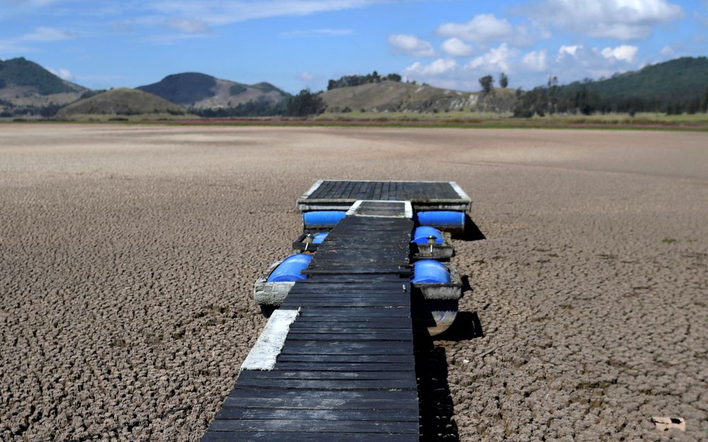 De Colombiaanse Suesca Lagune ligt droog. Sinds 2012 is het waterpeil gezakt. Tegenwoordig is de 5,4 vierkante kilometer volledig droog. beeld AFP, Raul Arboleda