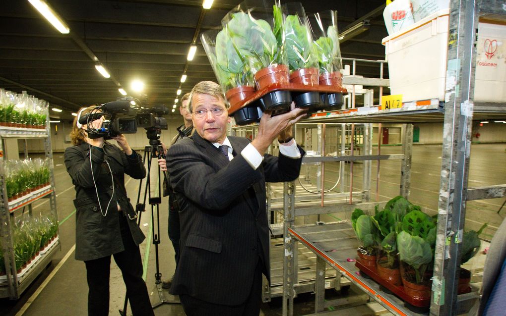 NAALDWIJK – Minister Donner (Sociale Zaken) kreeg maandag een kijkje achter de schermen bij FloraHolland. Bij de bloemenveiling is het ziekteverzuim in een paar jaar tijd bijna gehalveerd sinds er een leeftijdsbewust beleid wordt gevoerd. Foto Fotostudio 