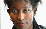 VVD-kamerlid Hirsi Ali