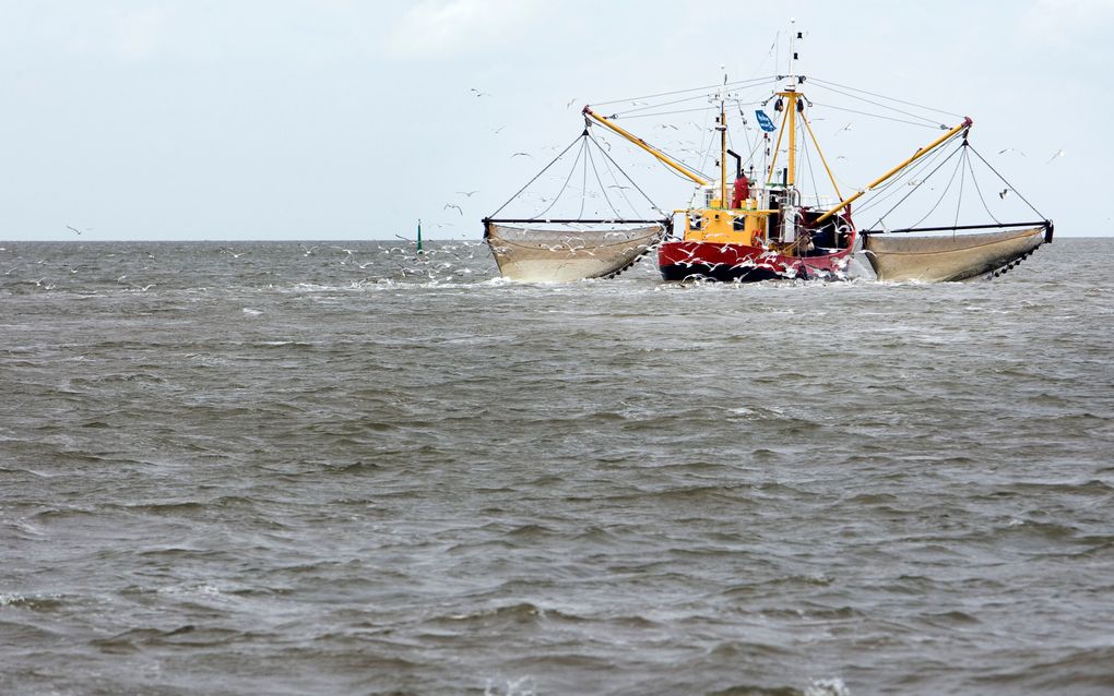 Vissersboten in de haven bij Lauwersoog. Foto ANP