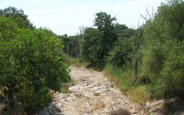 ARTA â€“ Zuid Europa kampt met een ernstige droogte. Op Mallorca heeft het al sinds februari niet meer geregend. Een riviertje bij ArtÃ , in het noordoosten van het eiland, is volledig drooggevallen. Foto RD