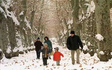 OLOT â€“ Ongewone beelden uit Spanje. Een gezin maakt een wandeling door een winters bos. - Foto EPA