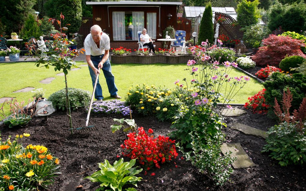 Doorbloeiende planten moeten ook tijdens de bloei regelmatig wat bemesting krijgen. Foto ANP