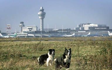 SCHIPHOL-OOST - Dezer dagen start in de media voor het eerst op televisie een wervingscampagne voor luchtverkeersleiders. De komende jaren zijn er meer verkeersleiders nodig en de arbeidsmarkt is krap. - Foto ANP