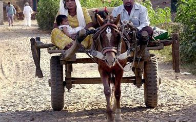 GHADKAL - Een Indiaas gezin verlaat het dorp Ghadkal in Kasjmir, nadat hun huis onder Pakistaans mortiervuur is komen te liggen. Honderden families ontvluchten de regio, uit angst voor een oorlog tussen India en Pakistan. - Foto EPA