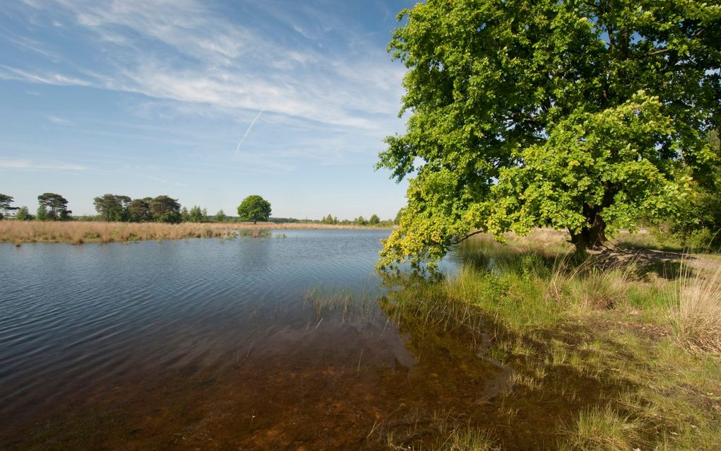 Foto Natuurmonumenten