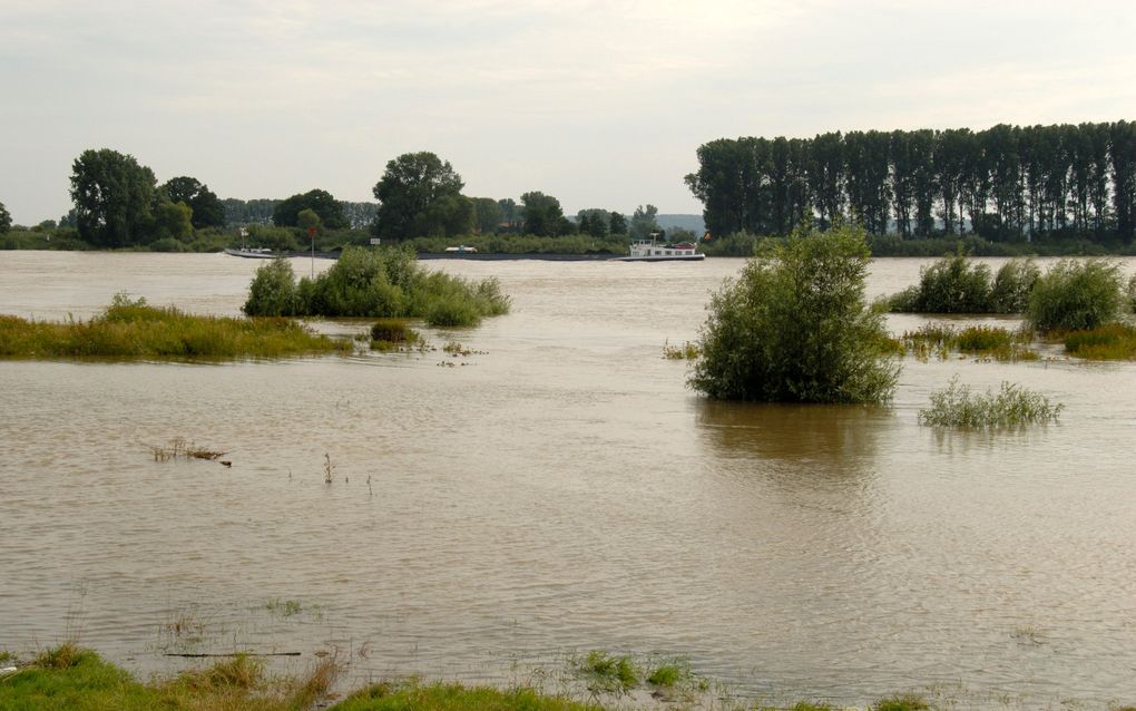 Parallel aan de Rijn moeten natuurlijke buffers komen om watertekorten in de zomer op te vangen, vindt de provincie Gelderland. Het plan krijgt steun van twee Duitse deelstaten. Foto ANP