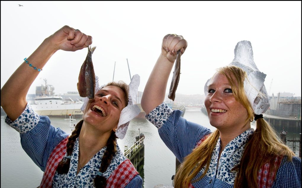 EGERSUND - De Hollandse nieuwe is dit jaar niet zo supervet als vorig jaar, maar voldoet aan alle eisen. Kenners noemen de Hollandse nieuwe van dit jaar niet uitstekend, wel zeer goed. Foto ANP