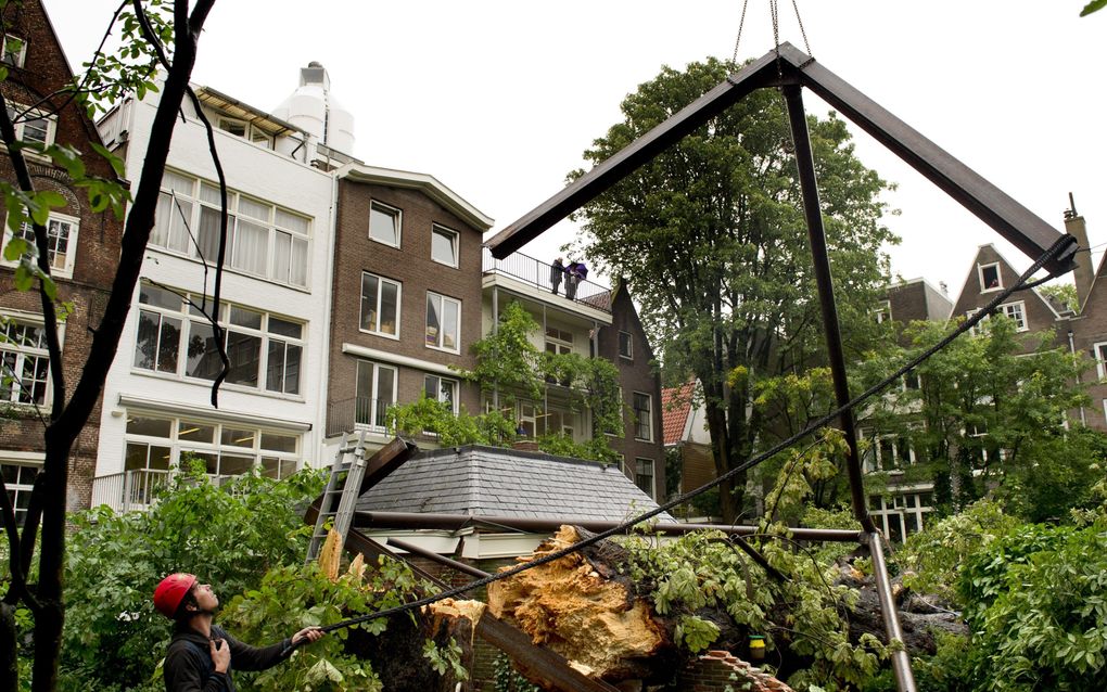 Het weghalen van de boom duurt waarschijnlijk nog tot vrijdagavond. Foto ANP