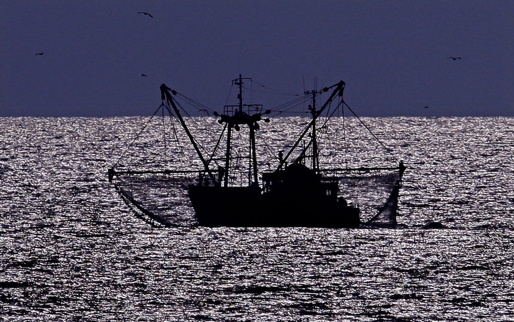 BRUSSEL - De Europese Commissie (EC) verbiedt met ingang van vandaag de vangst van blauwvintonijn in de Middellandse Zee en het oosten van de Atlantische Oceaan. Foto ANP