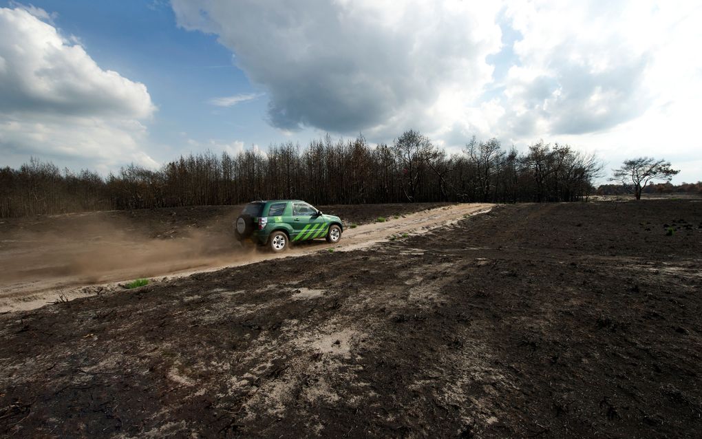 Strabrechtse Heide waar begin juli ruim 150 hectare bos en heide werd verwoest. Foto ANP