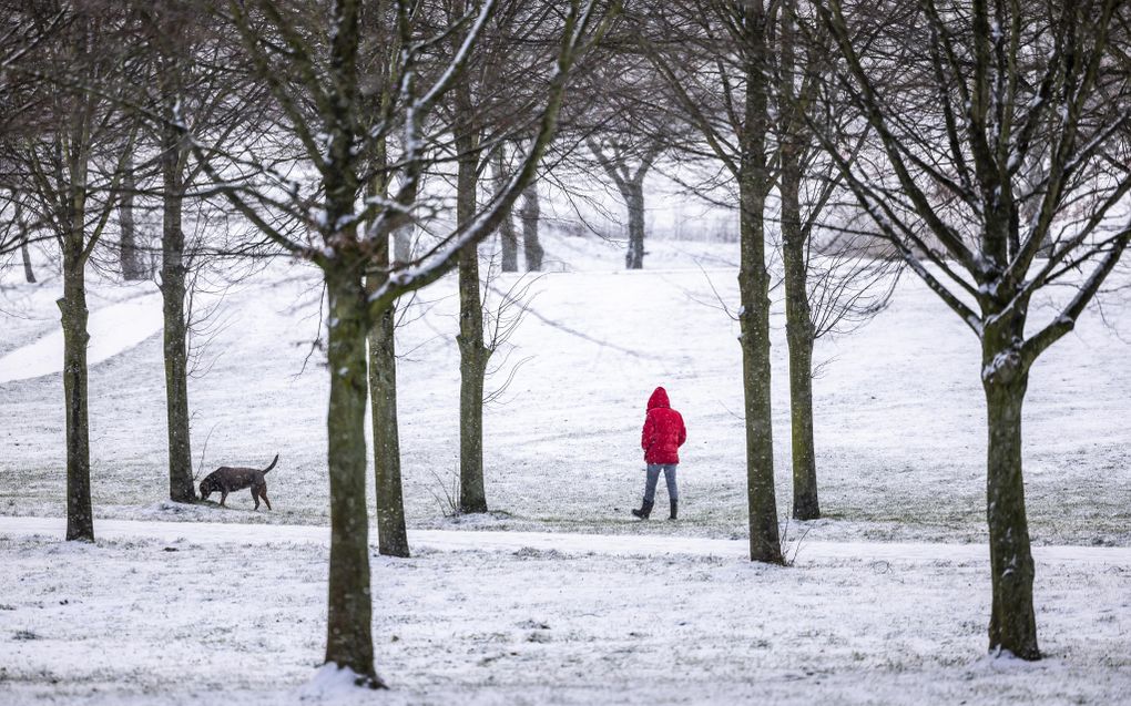 beeld ANP, Marcel van Hoorn