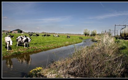 BREUKELEN â€“ In opdracht van spoorbeheerder ProRail is het bedrijf Eurailscout uit Amersfoort dezer dagen druk met de zogenaamde voorjaarscampagne. In negentien dagen meet de UFM120, een trein van Eurailscout, de 6500 kilometer spoorrails door die het Ne