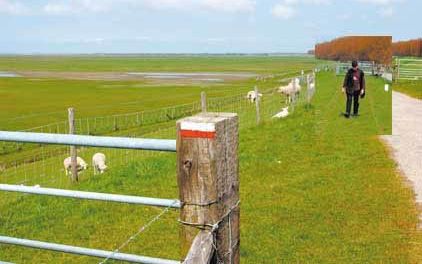 Langeafstandswandelen is in Nederland een fenomeen aan het worden. Wie de rood-witte routewijzers eenmaal kent, komt ze ineens overal tegen. - Foto Wim van Vossen