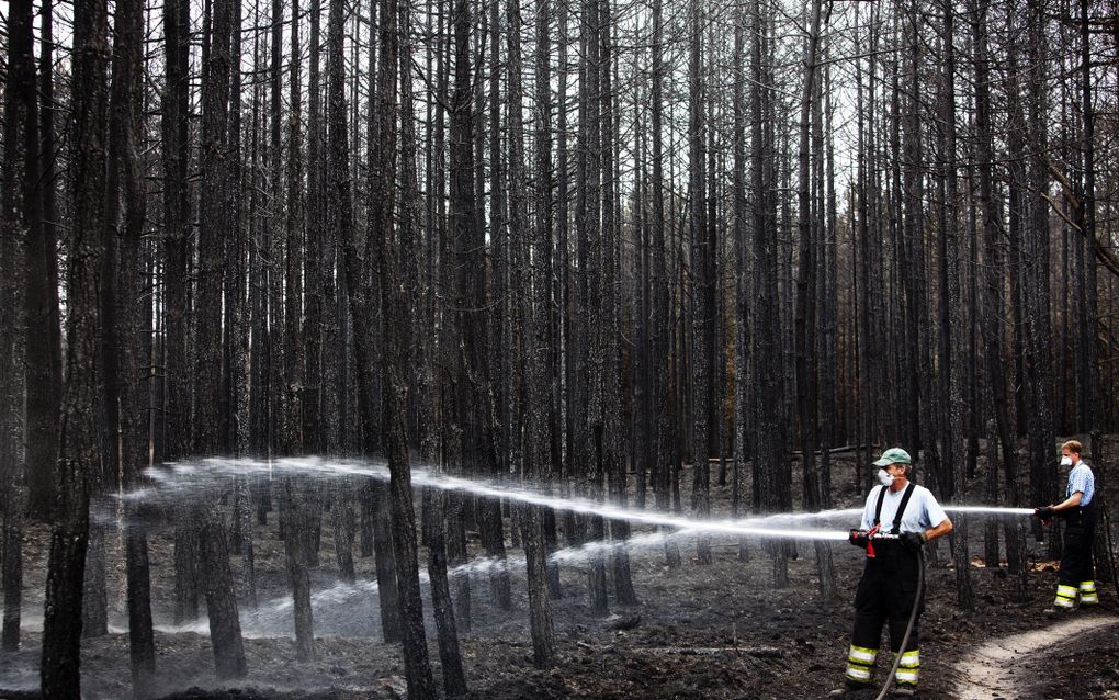 Brandweerlieden zijn maandag bezig met het nablussen van de brand op de Strabrechtse Heide bij Heeze. Foto ANP