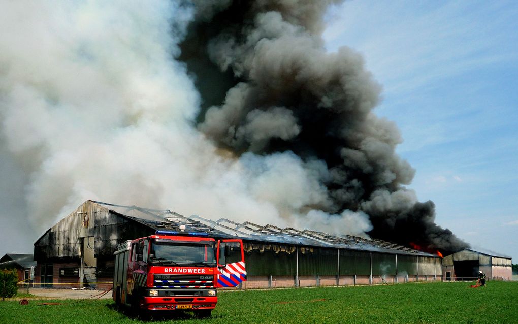 Kippen gedood door brand in Middelbeers. Foto ANP