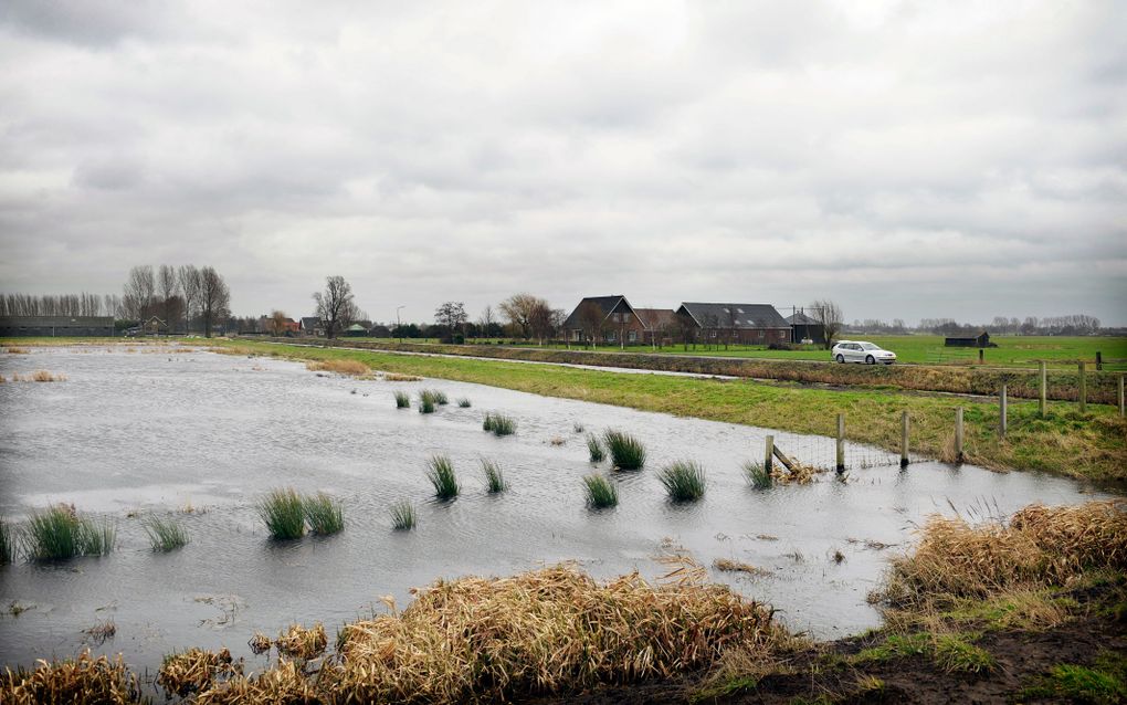 „Wat is de zin van het op vele plaatsen aanleggen van natte (moeras)gebieden? Bij het vroegere natuurbeheer lag de aandacht daar bijna niet. ” Foto ANP