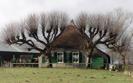 SINT JANSKLOOSTER â€“ Het aantal historische boerderijen in Nederland neemt sterk af. In de afgelopen zestig jaar verminderde het aantal met meer dan de helft: van 192.000 in 1940 naar 91.000 nu. Op de foto een oude boerderij in Sint Jansklooster, achter 