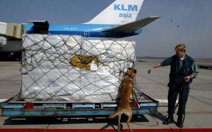 SCHIPHOL - Een drugshond controleerde donderdag op Schiphol vracht afkomstig uit Mexico. Ondanks dat de kans groot is dat vanuit dit land cocaÃ¯ne en wapens worden gesmokkeld, kon de snuffelhond noch de mobiele rÃ¶ntgenscan iets bijzonders in de bagage on