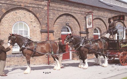 Er valt heel wat te vieren in The Bass Museum in Burton-upon-Trent. Zo werd precies 1000 jaar geleden in het stadje de basis gelegd voor wat een bloeiende bierindustrie zou worden. In het museum wordt een deel van de histortie letterlijk levend gehouden. 