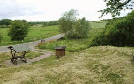 De zogenoemde ”koude plaats” bij Unterrissdorf, waar Luther een hartaanval zou hebben gekregen. Beeld matmicpic