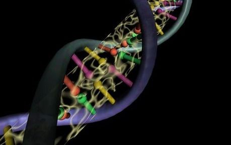 DNA-strengen. - Foto RD