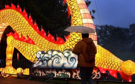 Chinese draak: gelukbrengend dier? Foto ANP