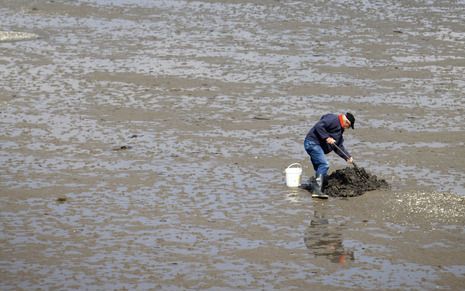 Het Rijk heeft een bijdrage van maximaal 150 miljoen euro uitgetrokken voor het opslaan van het broeikasgas CO2 op zee. Foto ANP