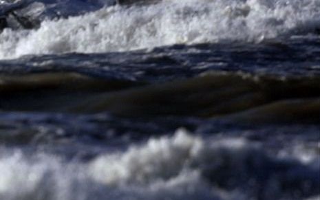 WAGENINGEN - De bouw van windmolens op zee kan dodelijk zijn voor zeehonden en bruinvissen, zegt een onderzoeksinstituut van Wagening Universiteit. Foto ANP