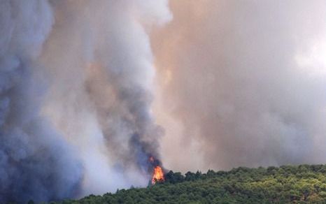 Bosbrand op La Palma. Foto EPA