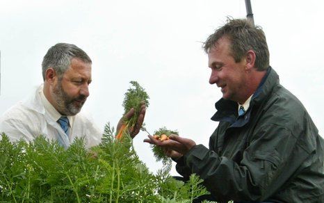 NOORDOOSTPOLDER – Agrariër Wim van de Burgwal uit Ens is het zat dat hij bijna geen cent krijgt voor zijn wortelen. Daarom gaat zijn worteloogst in zijn geheel naar de voedselbank. Foto ANP