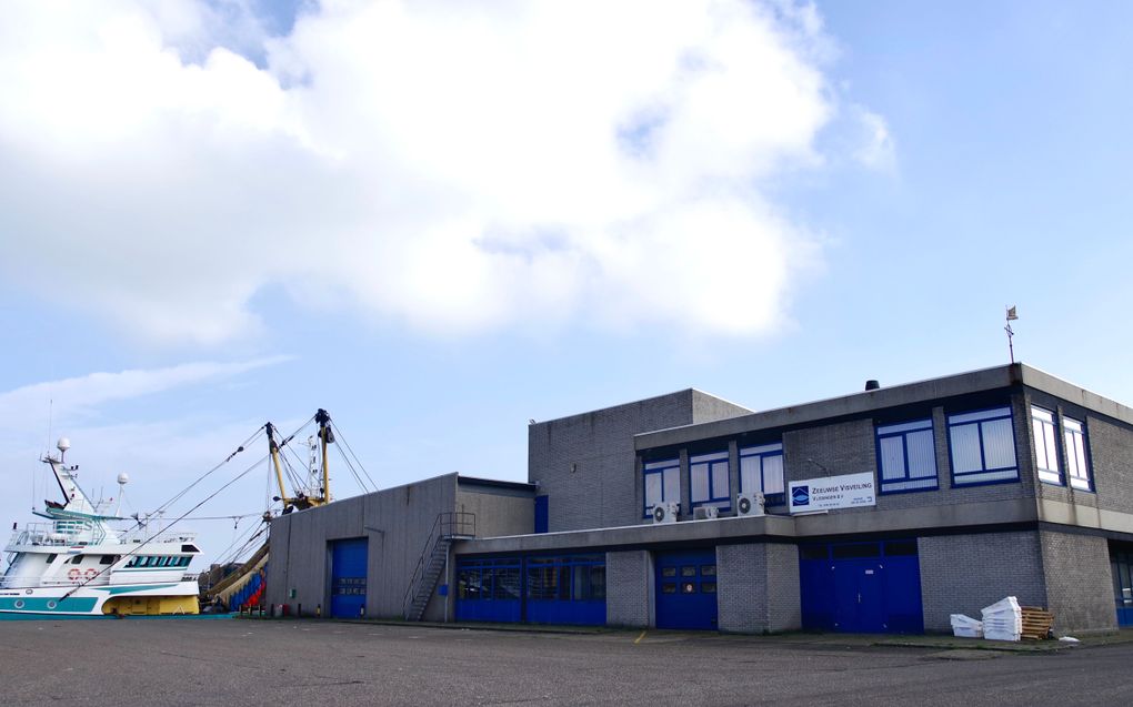 De vismijn van Vlissingen in de Binnenhaven. beeld Van Scheyen Fotografie