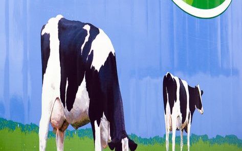 Zuivelgigant FrieslandCampina heeft een fabriek in het Duitse Prenzlau verkocht. De nieuwe koper is Uckermärker Milch uit Potsdam, die het behoud van alle 140 arbeidsplaatsten heeft gegarandeerd. Wat de verkoop heeft opgebracht wil FrieslandCampina niet z