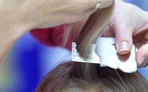 RIJSWIJK - Veel leerlingen op basisscholen hebben er last van, maar het is de bedoeling dat woensdag geen hoofdluis meer tussen hun haren kruipt. De ouders van de kinderen hebben als het goed is de luizenkam door de haren gehaald en de leerkrachten contro