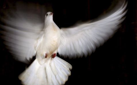 „Natuurlijk verlangde John Owen naar de gaven van de Geest. De kerk dankt haar ontstaan eraan. Maar Owen zegt ook dat die gaven extraordinair zijn en nu opgehouden zijn.” Foto EPA