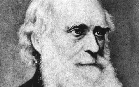 Stellingen tegen Darwin's theorie. Afbeelding ANP